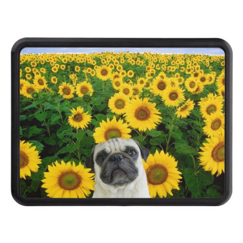 Pug dog in sunflowers hitch cover