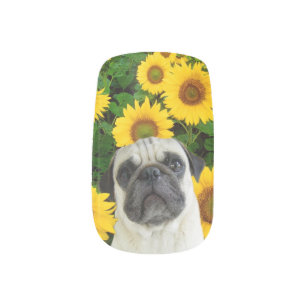 Pug dog in sunflowers minx nail art