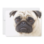 Pug Dog Invitation