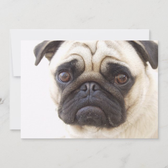 Pug Dog Invitation (Front)