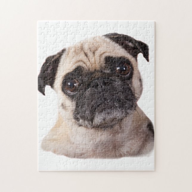 pug dog jigsaw puzzle (Vertical)