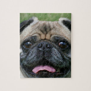 Pug Dog Jigsaw Puzzle
