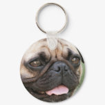 Pug Dog Keychain