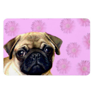 Pug dog magnet