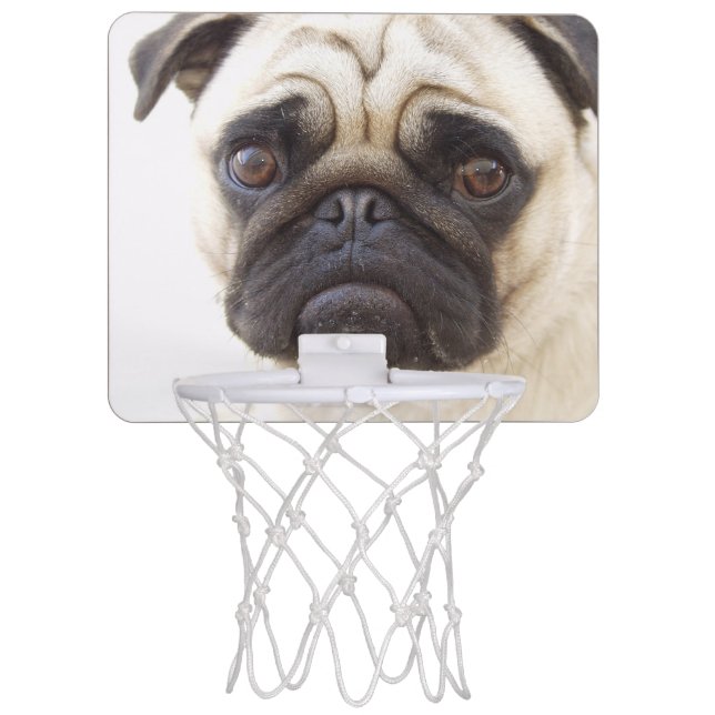 Pug Dog Mini Basketball Hoop (Front)