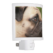 Pug Dog Night Light (Right)