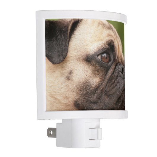 Pug Dog Night Light (Right)