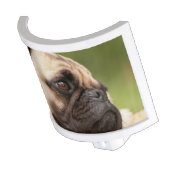 Pug Dog Night Light (Angled)