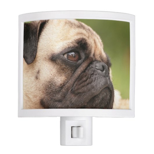 Pug Dog Night Light (Front)