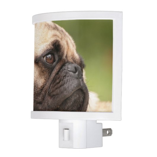 Pug Dog Night Light (Left)