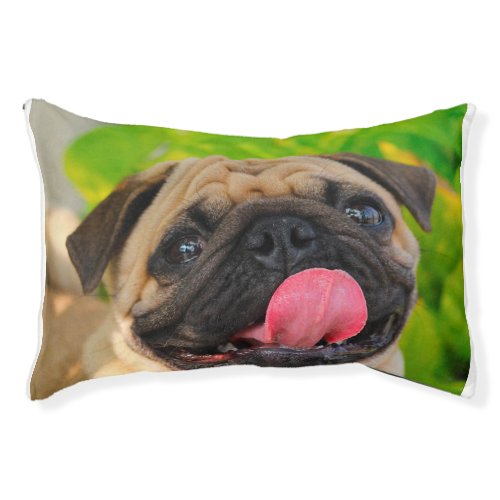 Pug Dog Pet Bed