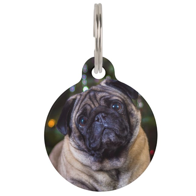 Pug Dog. Pet ID Tag (Front)