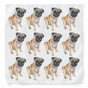 Pug dog pet photo portrait bandana
