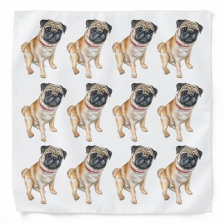 Pug dog pet photo portrait bandana