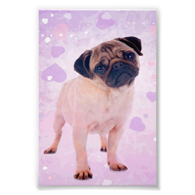 Pug Dog Photo Print (Front)