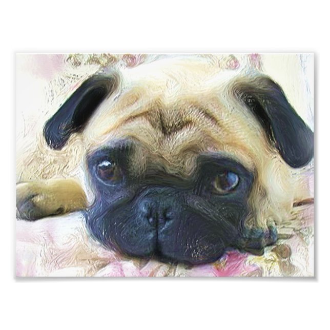 Pug dog photo print (Front)