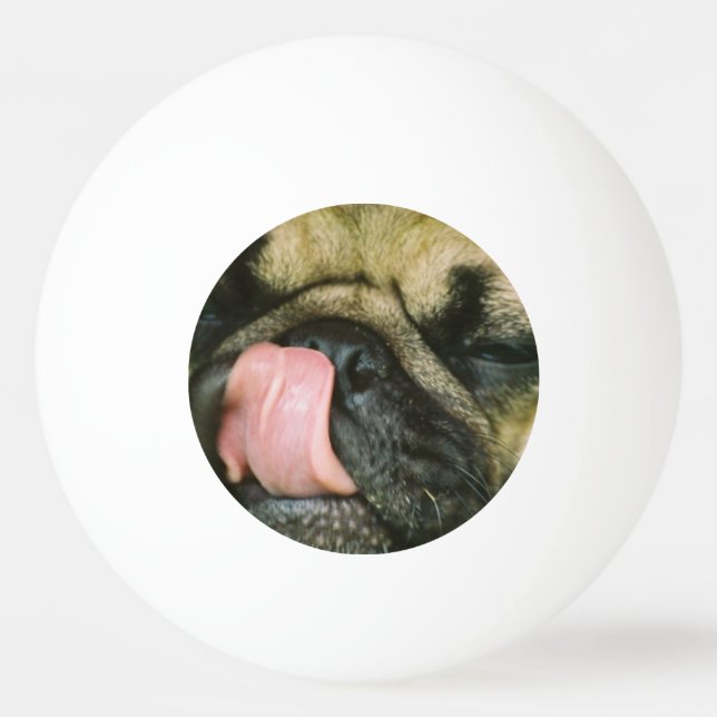 Pug Dog Ping-Pong Ball (Front)