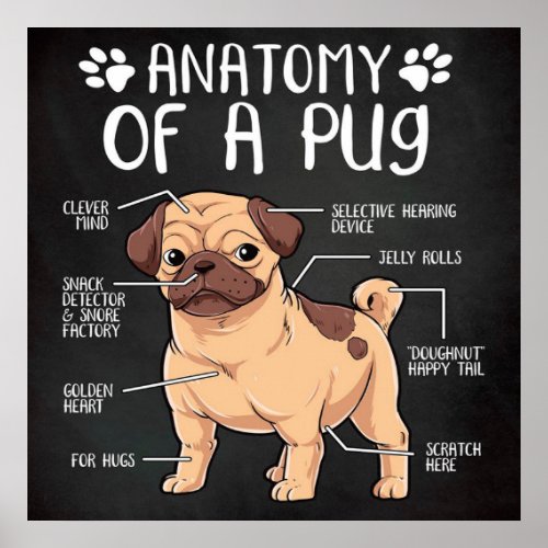  pug dog poster