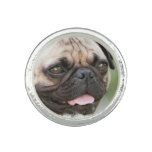 Pug Dog Ring
