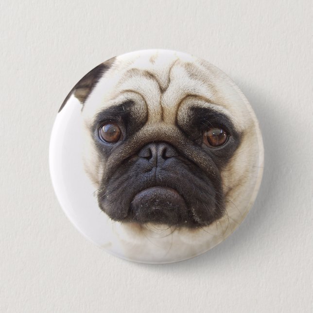 Pug Dog Round Button (Front)