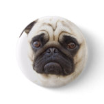 Pug Dog Round Button