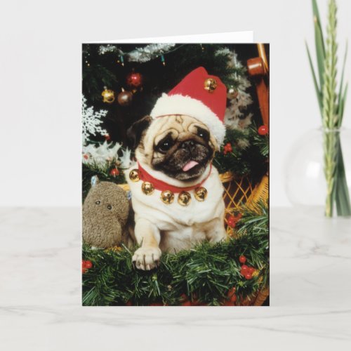 Pug Dog Santa Christmas Card