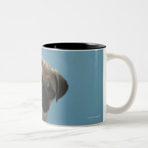 Pug dog sitting on bed by hot water bottle and Two_Tone coffee mug