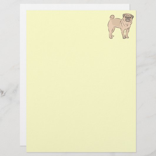 PUG dog standing alone cute! (Front/Back)