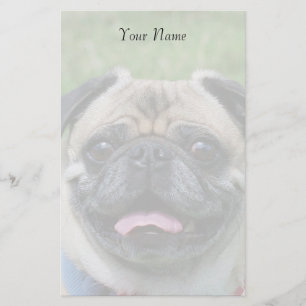 Pug dog stationary stationery
