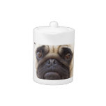 Pug Dog Teapot