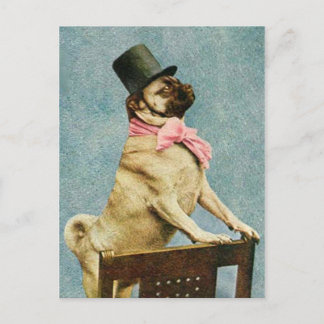 Pug Dog Tophat Postcard