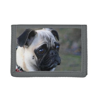 Pug Dog Tri-fold Leather Wallet by ritmoboxer at Zazzle