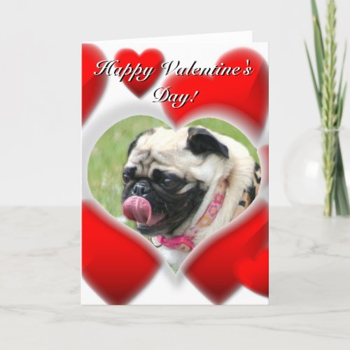 Pug dog Valentines Day Card