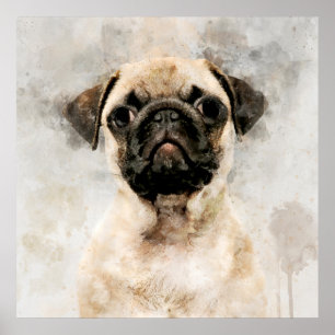 Pug Dog Watercolor Portrait 01 Poster