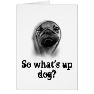 Pug dog with hoodie cards