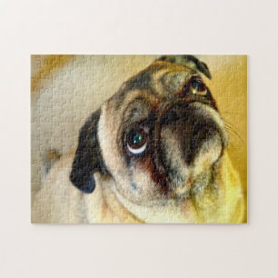 Pug Dogs. Jigsaw Puzzle