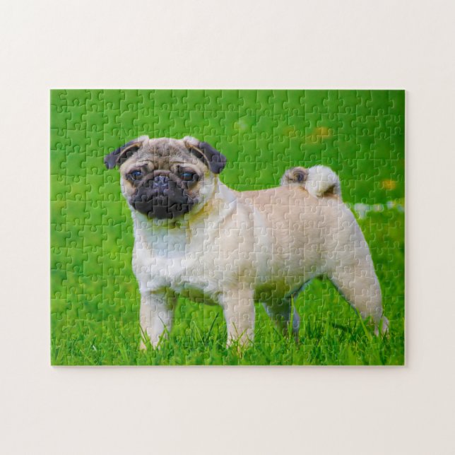 Pug Dogs. Jigsaw Puzzle (Horizontal)