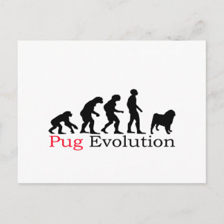 Pug Evolution Postcard