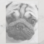 Pug Face (Front)