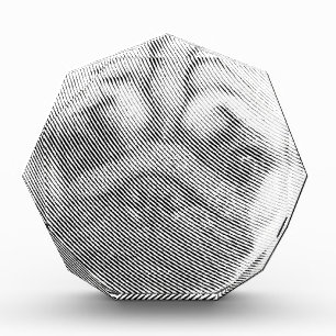 Pug Face Acrylic Award
