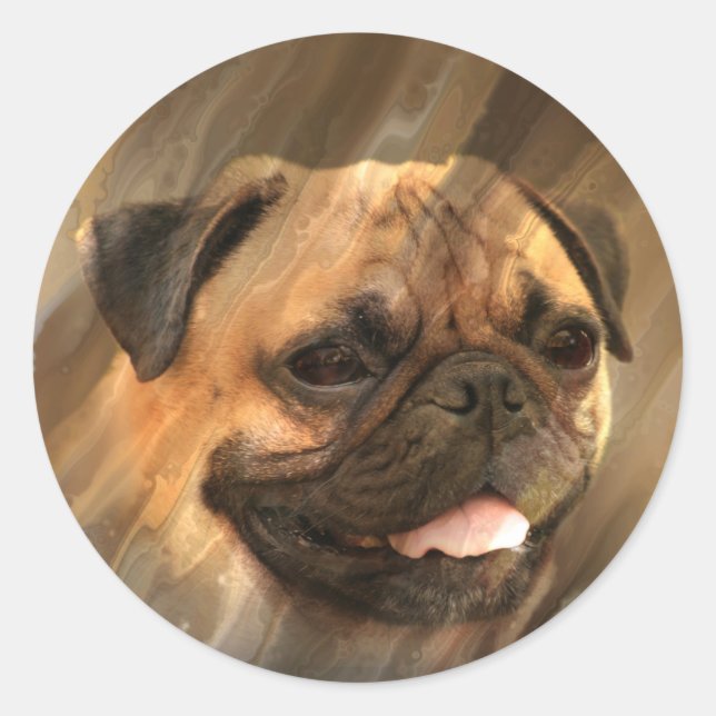 Pug face classic round sticker (Front)