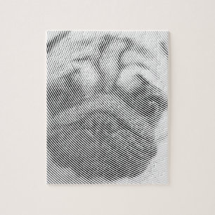 Pug Face Jigsaw Puzzle