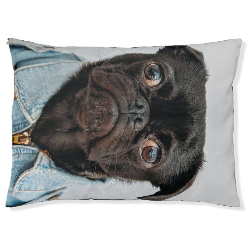 Pug Fashion Jacket Blanket Pet Bed