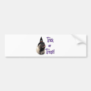 Pug (fawn) Trick Bumper Sticker