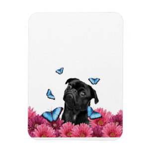 Pug Gerbera Butterflies Cute Black Dog Magnet