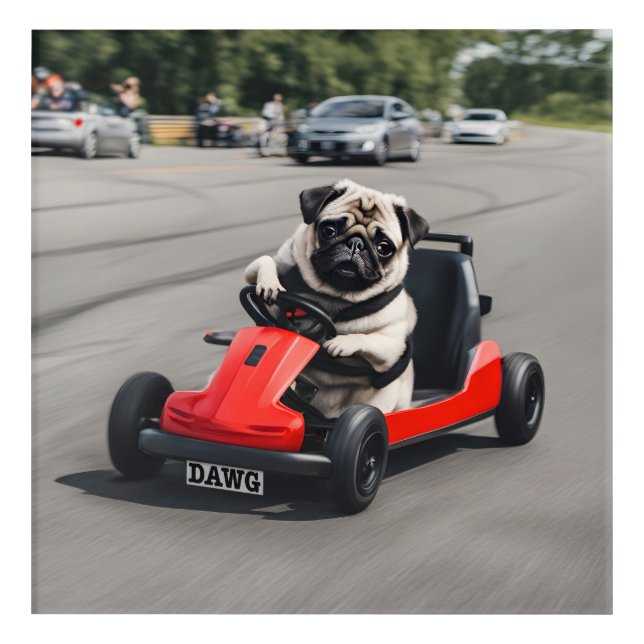 Pug go-kart racing acrylic print (Front)