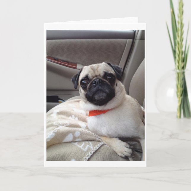 Pug Greeting Card (Front)