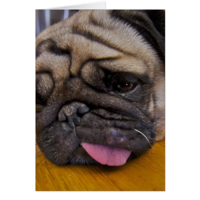 Pug Had One Too Many Greeting Card