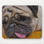 Pug Had One Too Many Mouse Pad