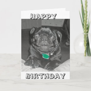 Pug Happy Birthday card